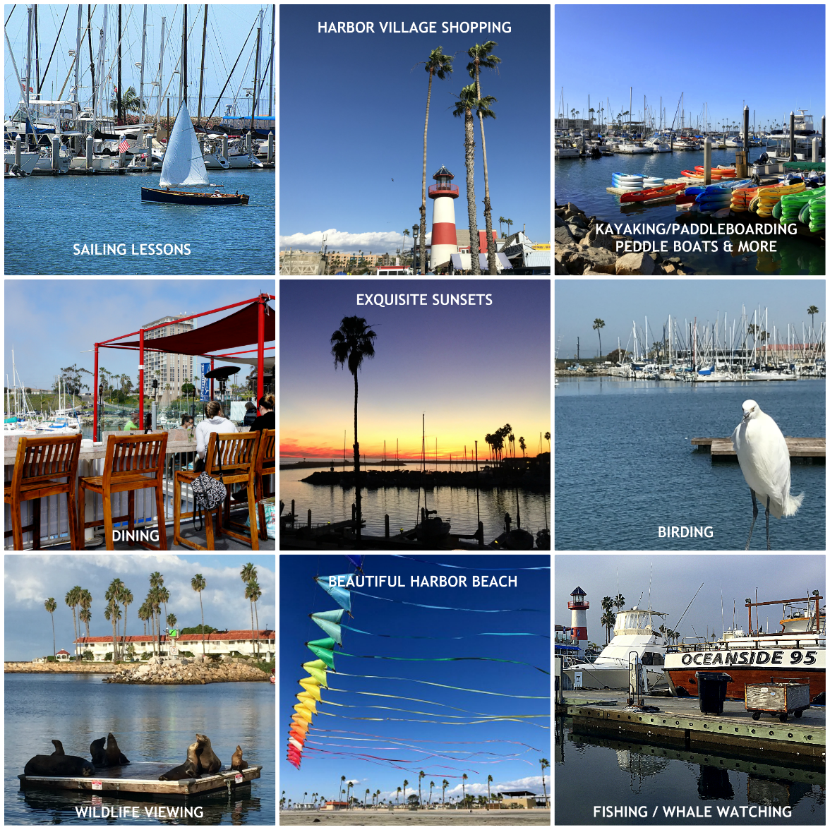Collage of Oceanside Harbor activities including sailing, shopping at Harbor Village, kayaking, dining, sunsets, birding, wildlife viewing, beach scenes, and fishing or whale watching