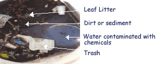 Storm drain with leaf litter, dirt or sediment, water contaminated with chemicals, and trash